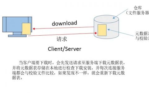 Package Manager