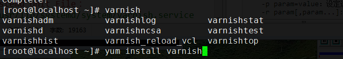 varnish 缓存服务器配置与使用