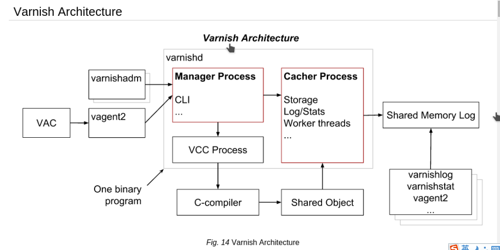 4-varnish"