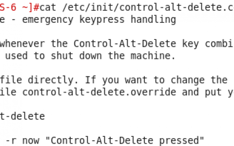 对虚拟机键入Ctrl+Alt+Delete的详细说明