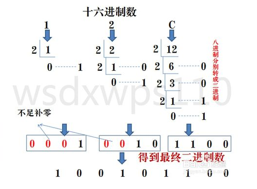 二进制、八进制、十进制、十六进制之间的转换