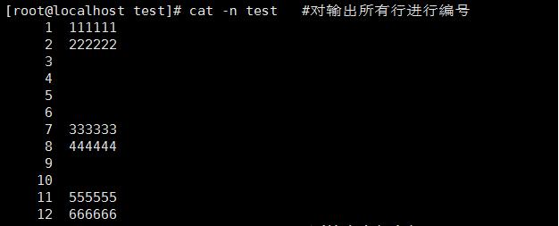 cat用法