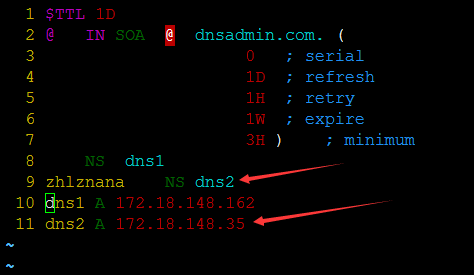 基于httpd服务实验构建网站域名DNS解析