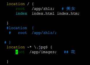 nginx 配置参数说明和实验