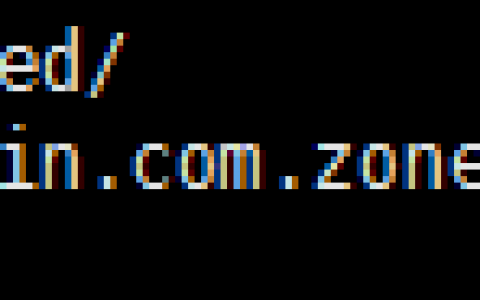 dns 服务