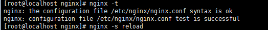 nginx