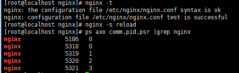 nginx