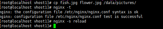 nginx