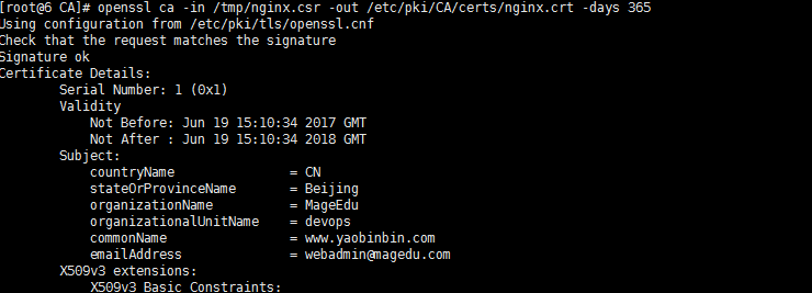 nginx