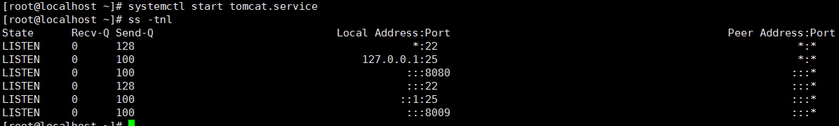 tomcat-session server实现