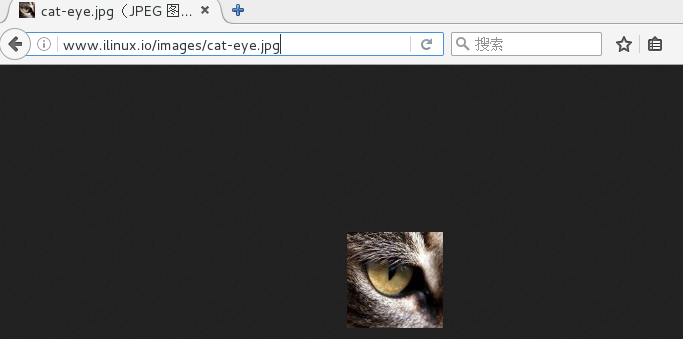 Nginx及其相关配置详解（二）