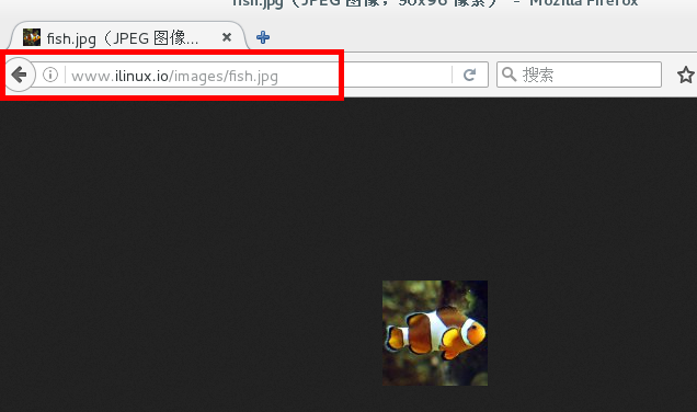 Nginx及其相关配置详解（二）