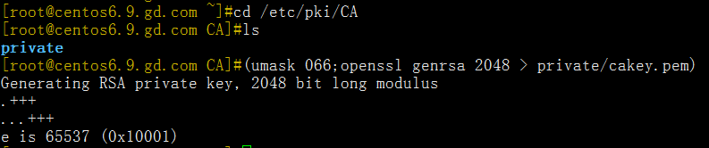 Linux 下openssl搭建一个CA