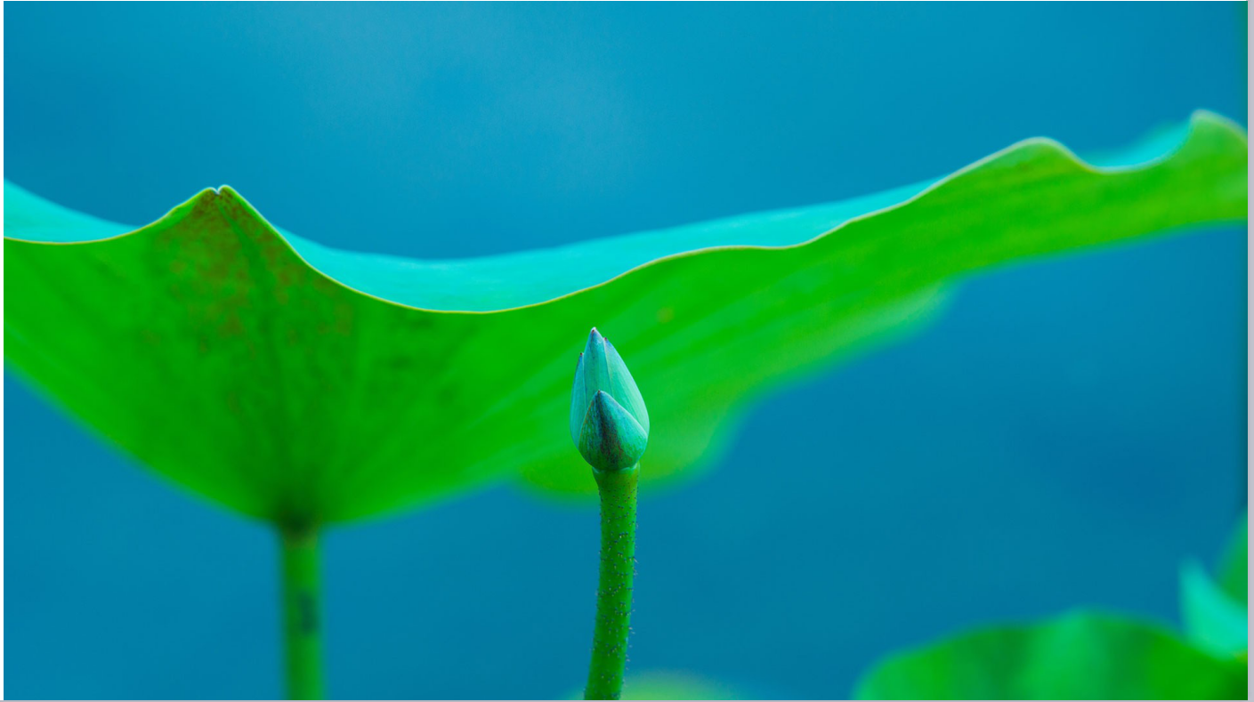 和Linux相遇在初夏