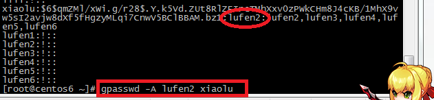 Linux用户和组的相关命令（二、组的相关命令）