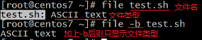 file 命令