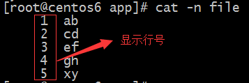 linux之文本处理工具