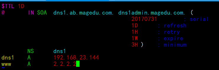 DNS 的搭建 子域授权及转发（正向解析）