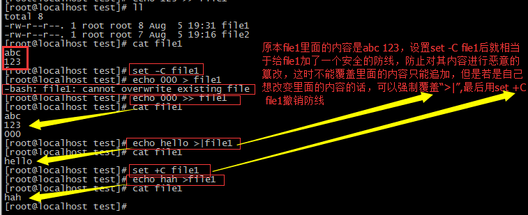 重定向和管道