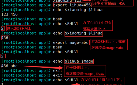 linux 基础（8）—— 变量