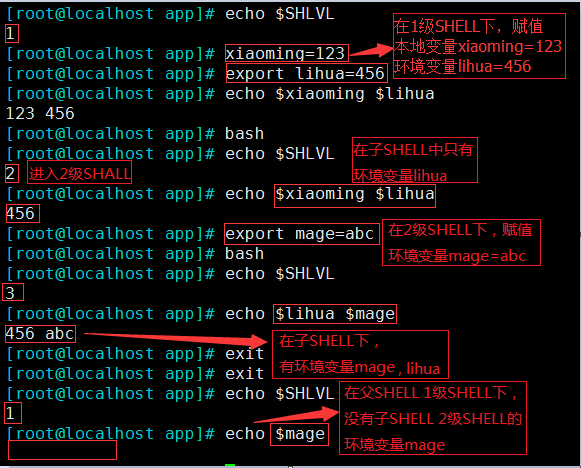 linux 基础（8）—— 变量