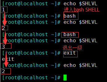 linux 基础（8）—— 变量