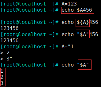 linux 基础（8）—— 变量