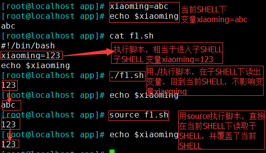 linux 基础（8）—— 变量