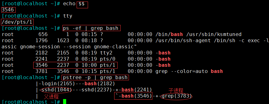 linux 基础（8）—— 变量