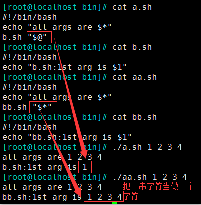 linux 基础（8）—— 变量