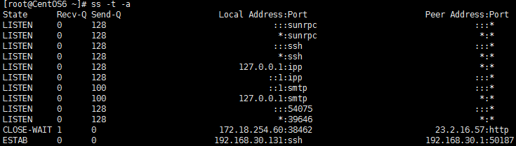 linux  网络管理命令  SS的使用详则