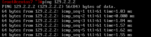 Linux实验-搭建路由环境