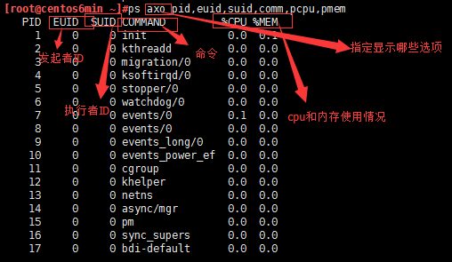 Linux进程管理-初级
