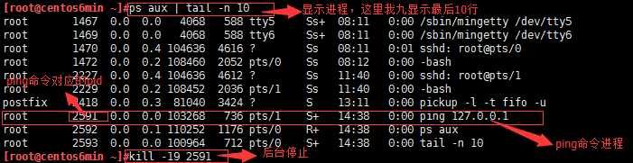 Linux进程管理-初级