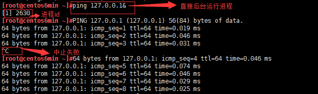 Linux进程管理-初级