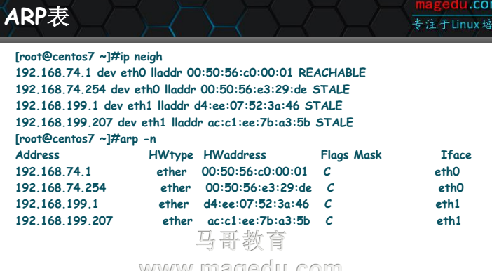 网络服务基础理论