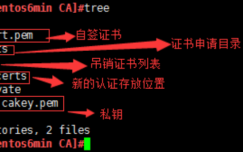Puppet 的使用与进阶