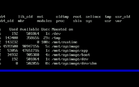 Linux Bash Shell有关变量