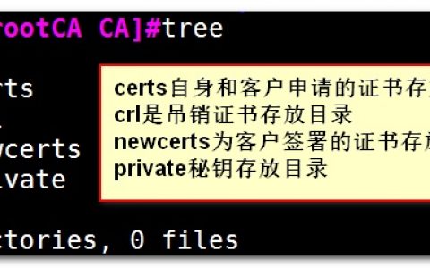 CA证书服务搭建与申请