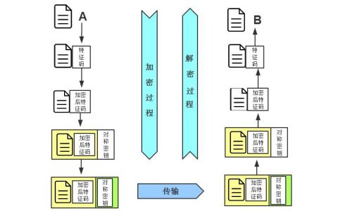 11.网络解析和网络加密
