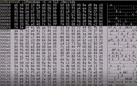 Linux系统启动过程中grub故障与修复（一）