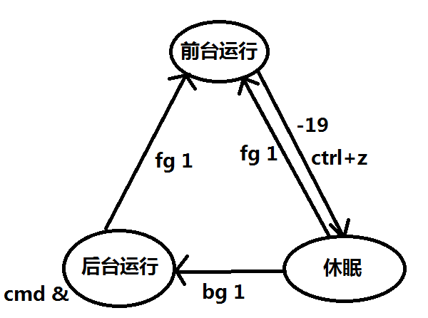 图片10