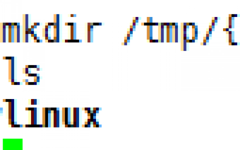 LInux系统上的文件管理类型以及bash的基础特性