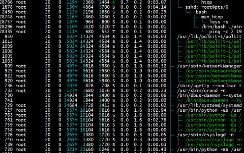 06葵花宝典之linux网络、进程管理和shell循环语句