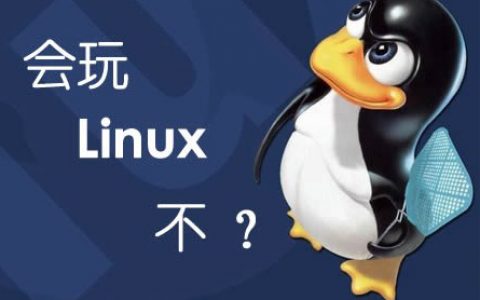 Linux用户和组管理