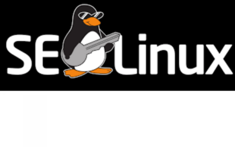 SELinux简介