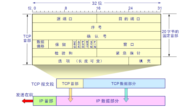 TCP报头