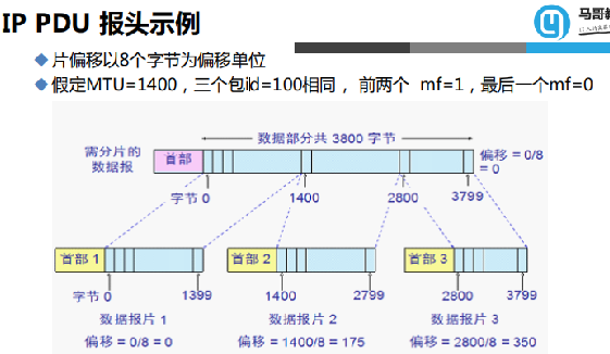 图片50