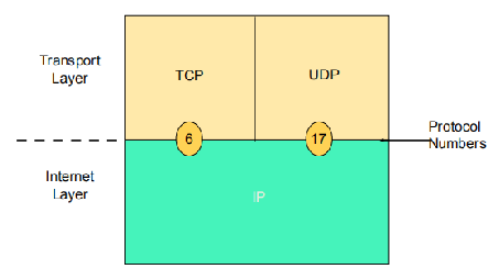 图片51