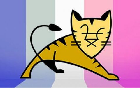 Tomcat介绍及相关实验(一)
